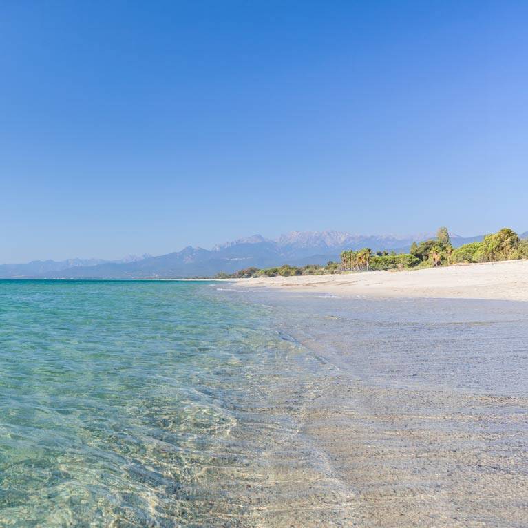 Camping Ghisonaccia